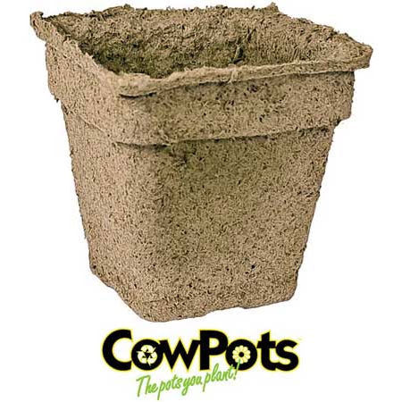 cow manure plant pots CowPots compost pots – Jardins de l'écoumène