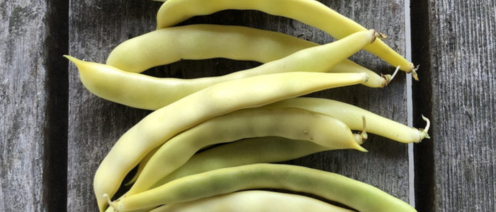 L’histoire d’un haricot… et d’une vie entière à semer