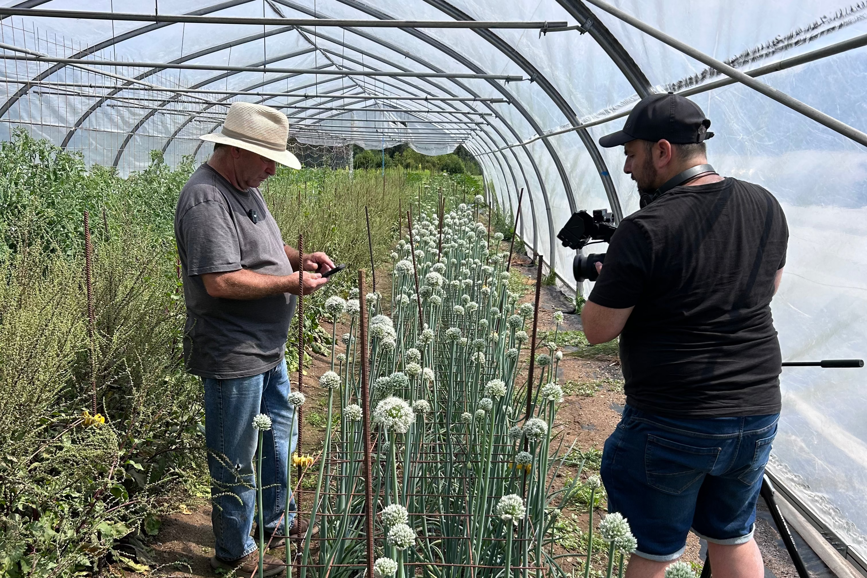 L’approche écoumène : jardiner avec le vivant
