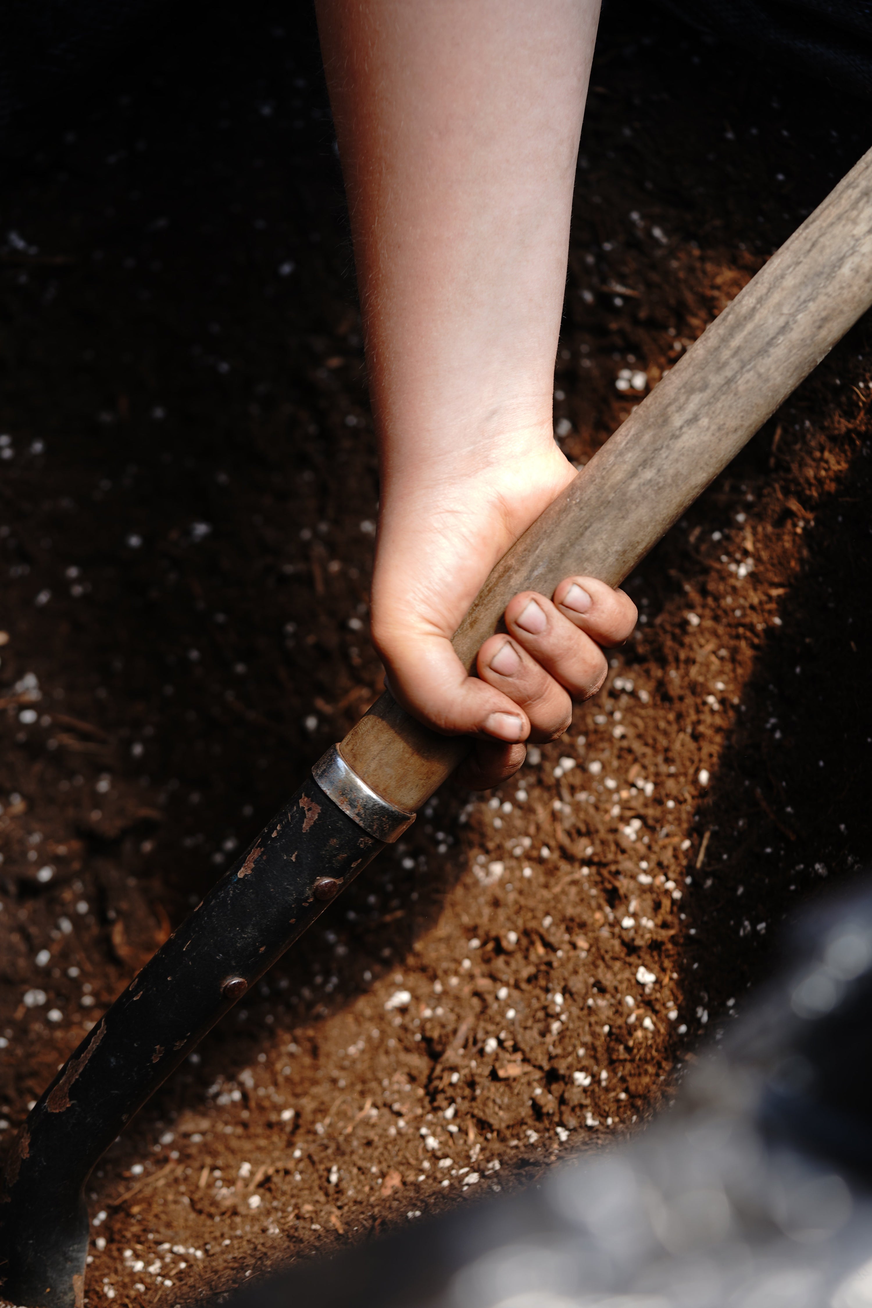 Choisir un terreau vivant pour bien démarrer ses semis