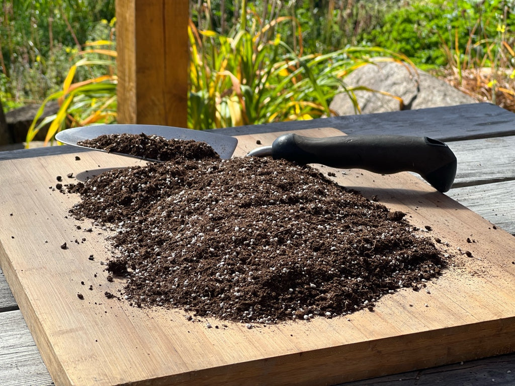 Terreau vivant édaphon - Germination