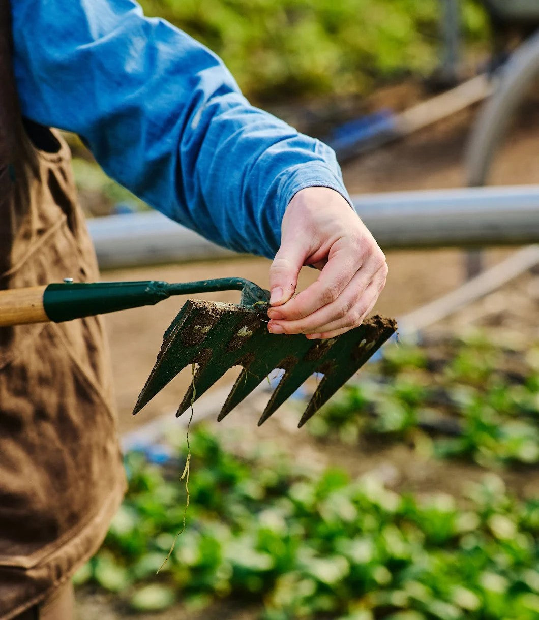 Houe déchiqueteuse de Growers & Co.