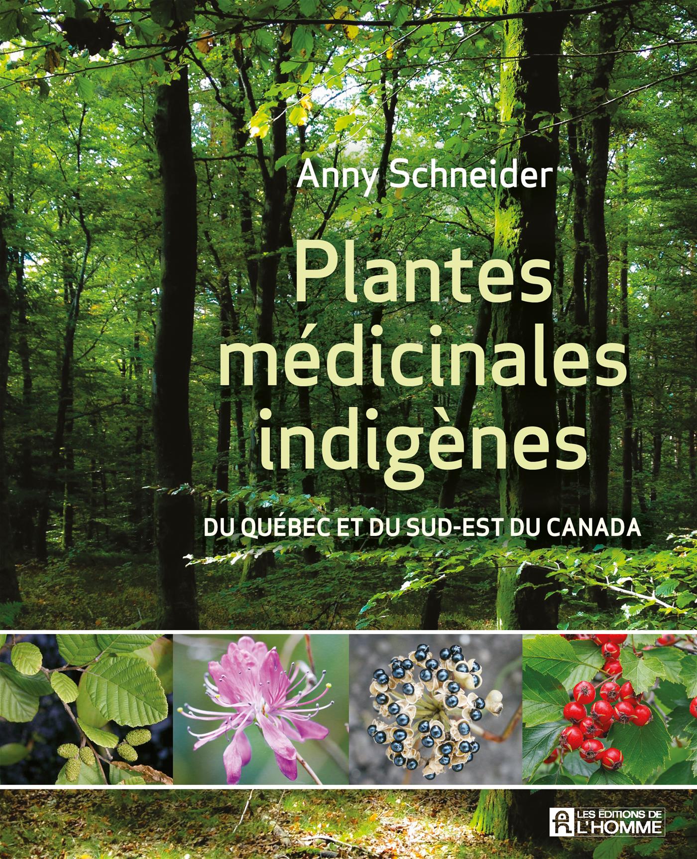 Plantes médicinales indigènes - Du Québec et du sud-est du Canada