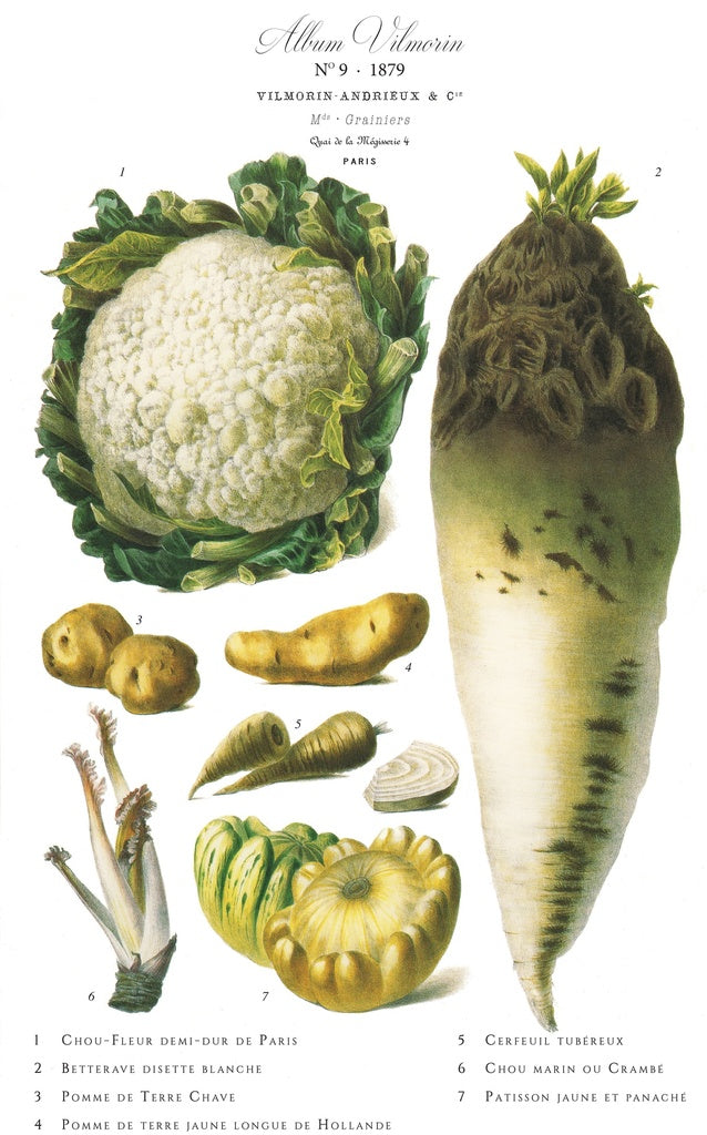 Affiche VilMorin No.9