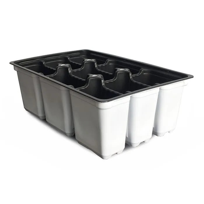 Barquette de 9 cavités TERIS POP