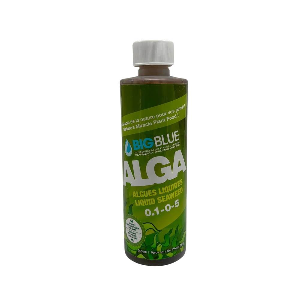 Algues liquides ALGA de BIG BLUE