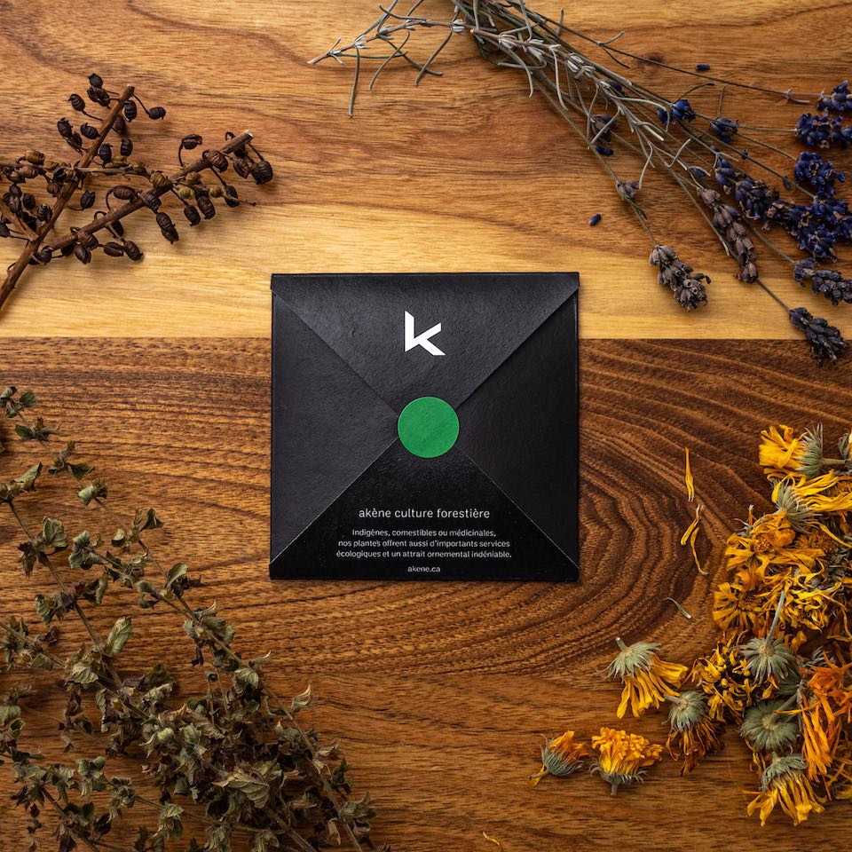 Asclépiade tubéreuse