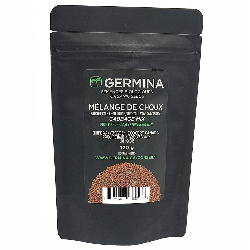 Choux en mélange à germer - Bio