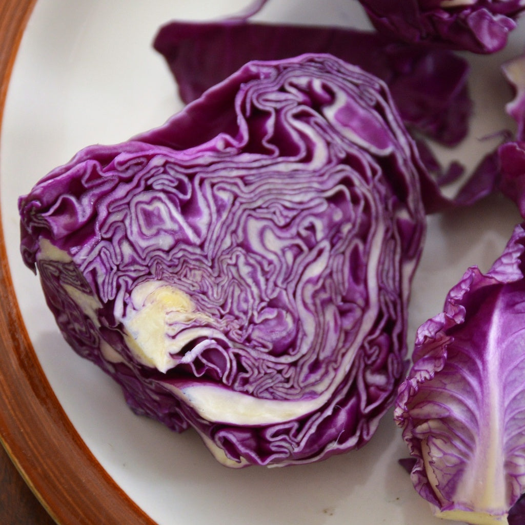 Chou pommé Red Kalibos - Bio