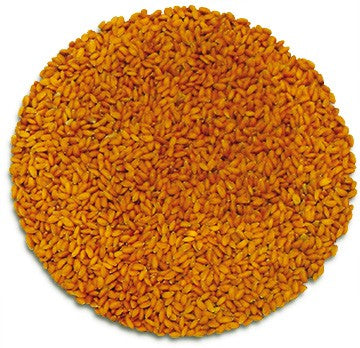 Cresson à germer - Bio