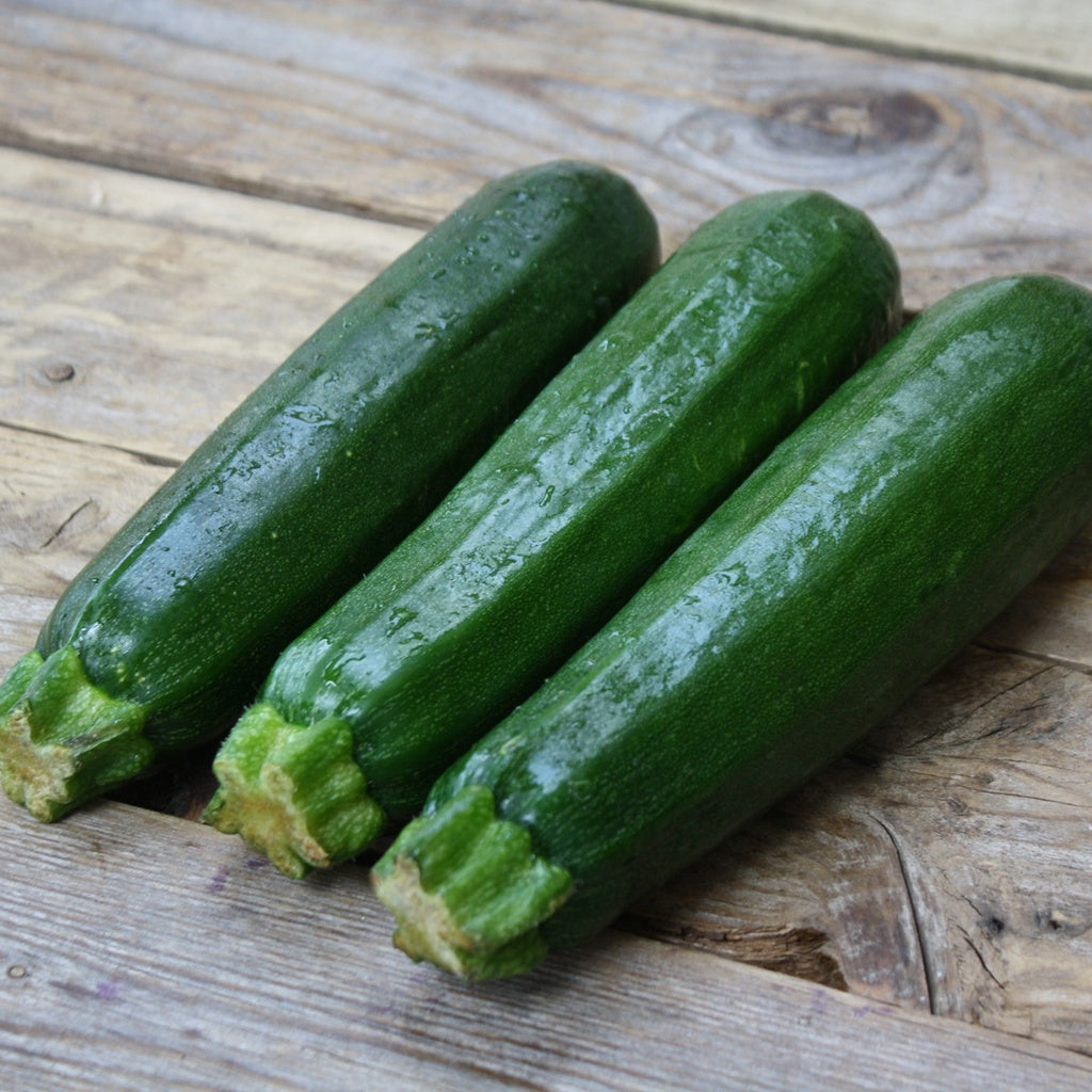 Courgette Dark Green - Bio