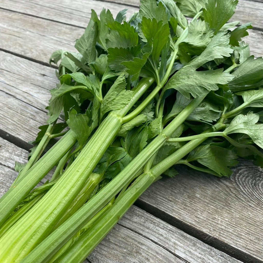 Organic Elne Celery