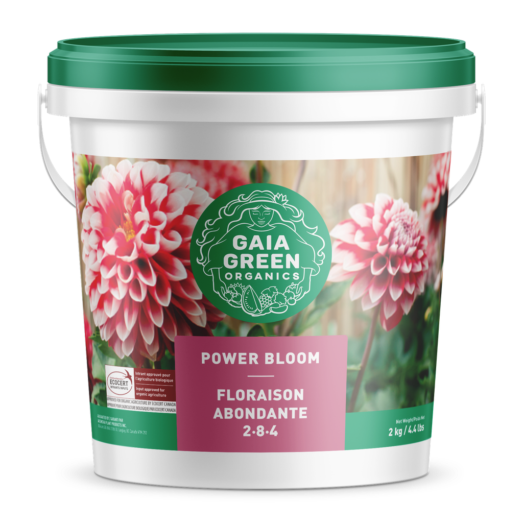 Floraison abondante 2-8-4 de Gaia Green