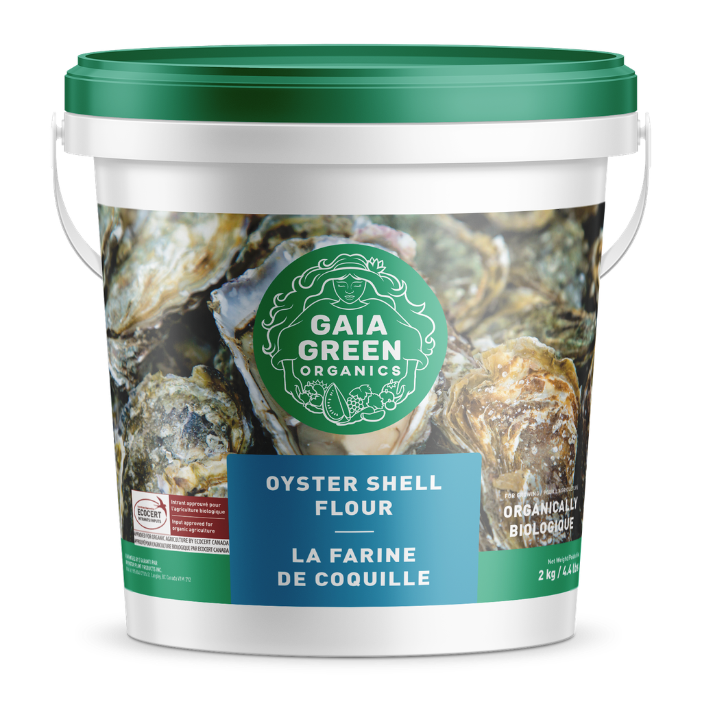 Gaia Green Oyster Shell Flour