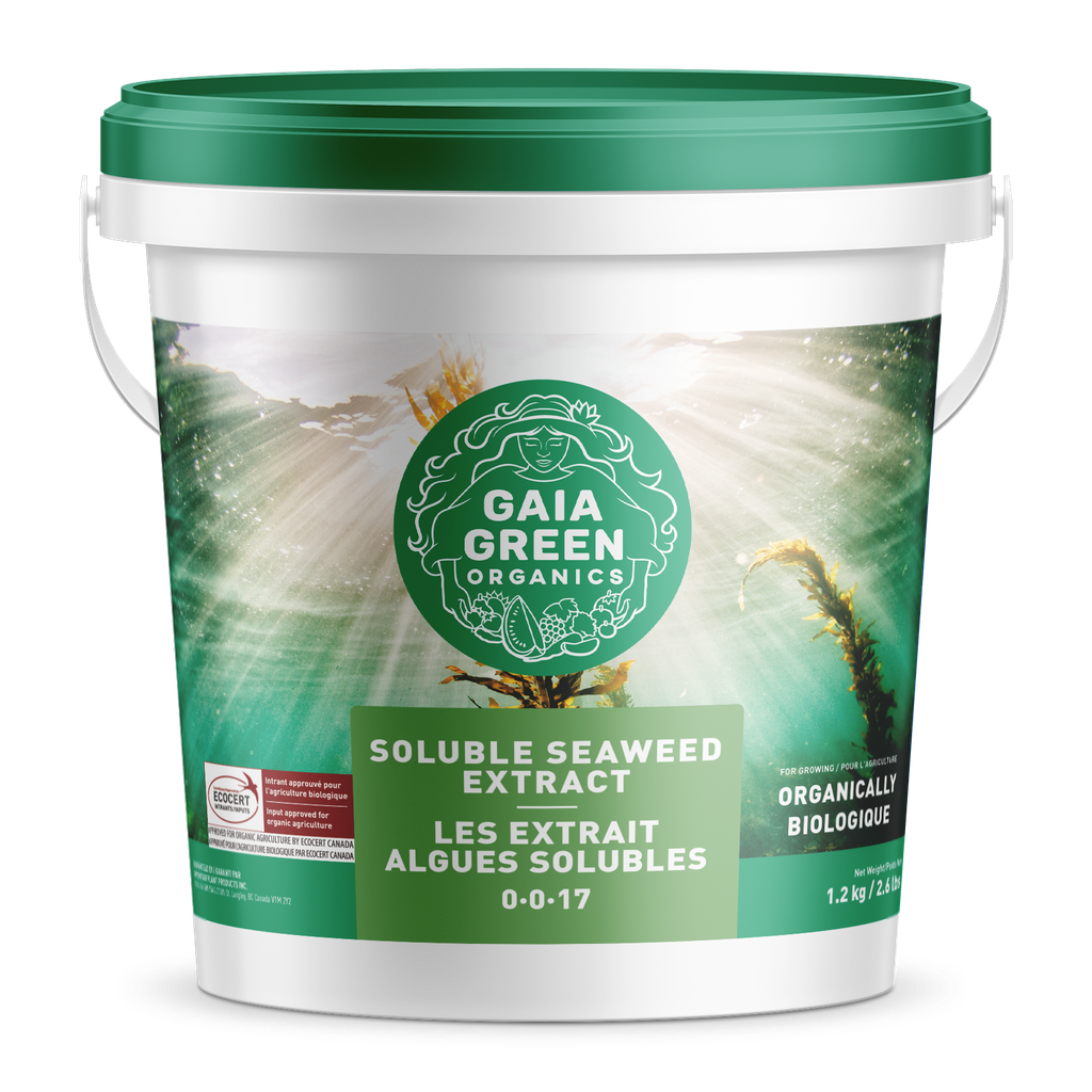 Extrait d'algues solubles de Gaia Green