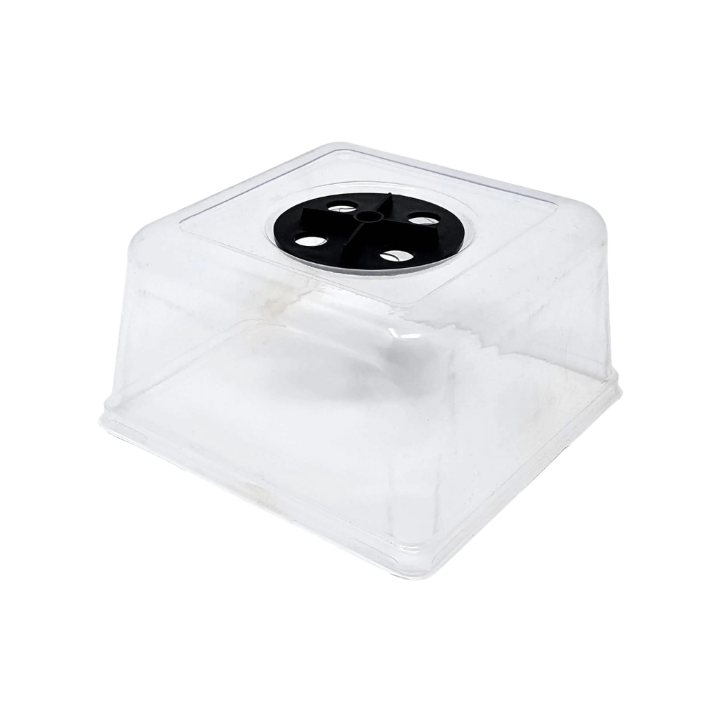 Dôme d'humidité pour plateau