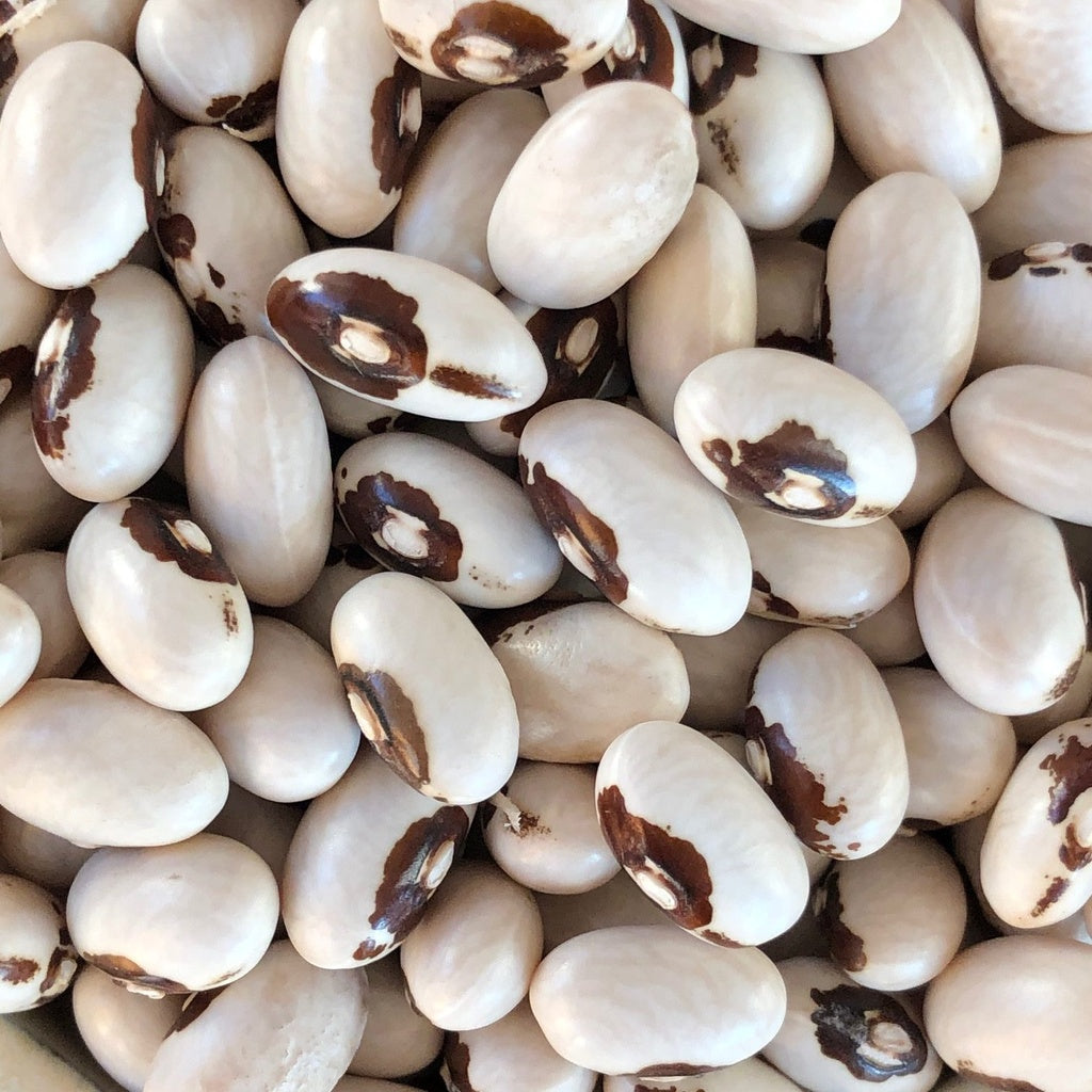 Haricot sec Fortin - Bio