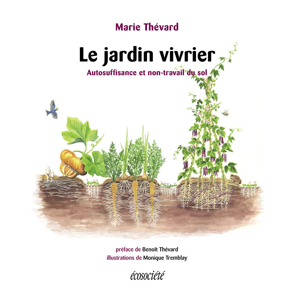 Kitchen garden (The)