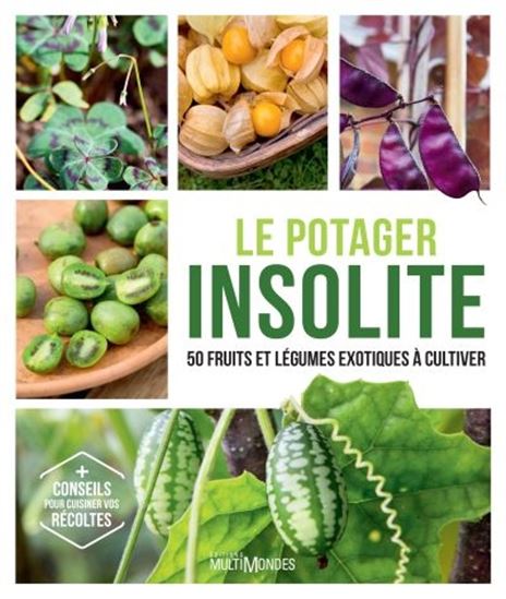 The unusual vegetable garden: 50 exotic fruits and vegetables to grow