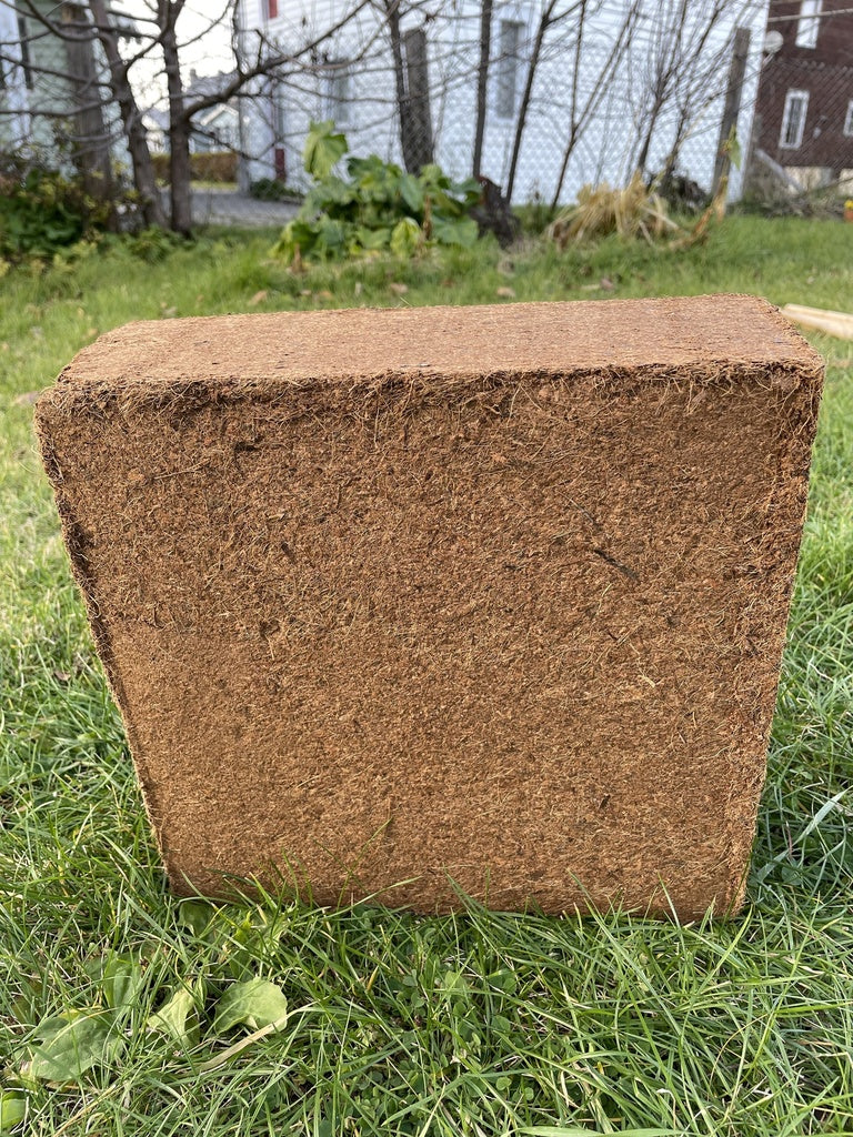 Coconut mousse from Coco Terro