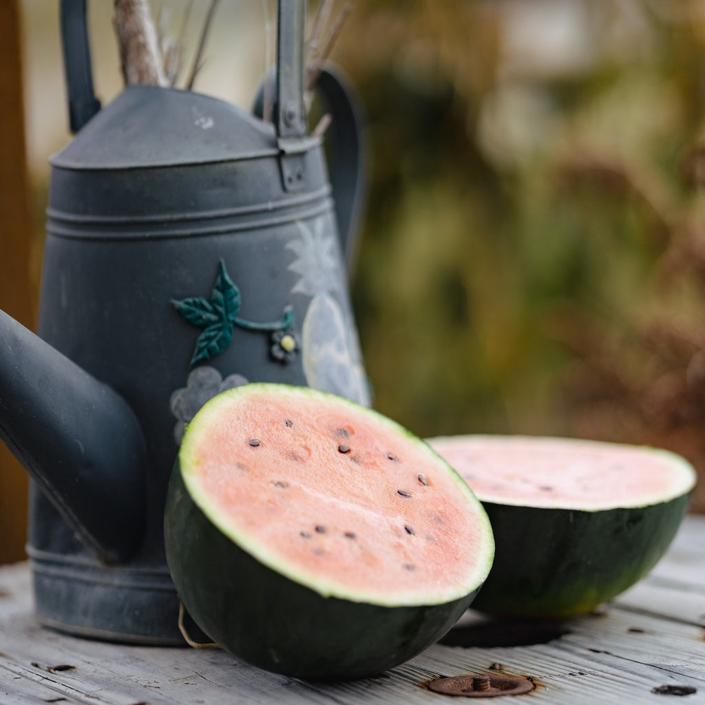 Blacktail Mountain Melon - Organic