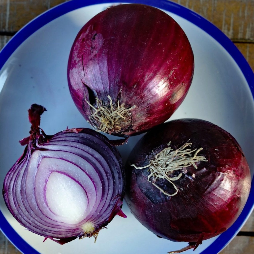 Oignon Saint Turjan - Bio