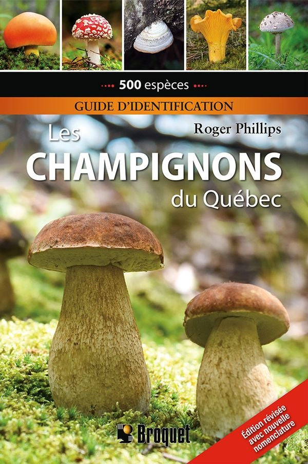 Mushrooms from Quebec