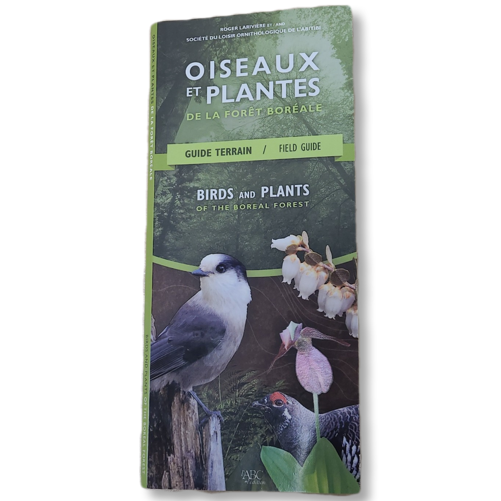 Birds and plants of the boreal forest (field guide)
