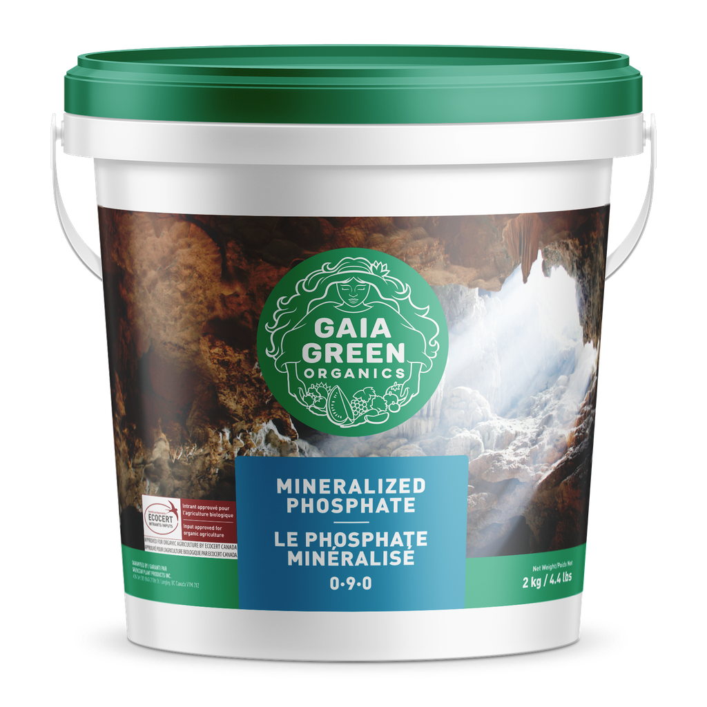 Phosphate minéralisé de Gaia Green