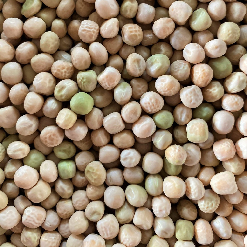 Pois fourrager - Bio