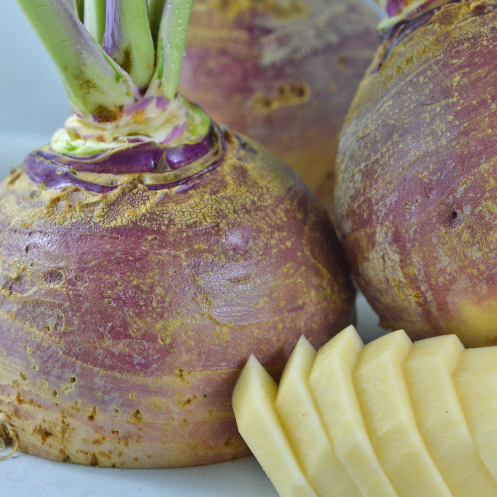 Rutabaga Fortin - Bio