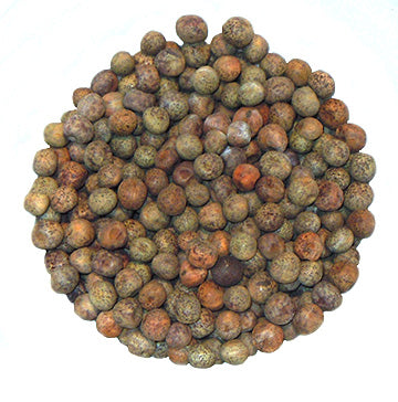 Pois violet à germer - Bio