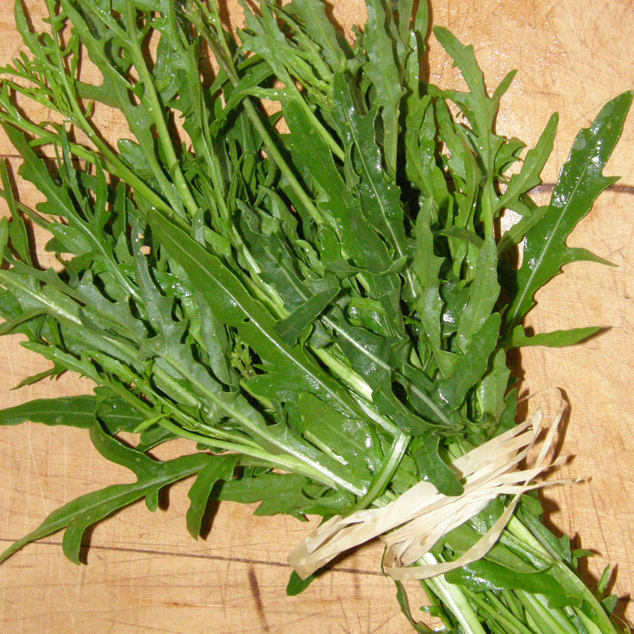 Roquette italienne Sylvetta - Bio