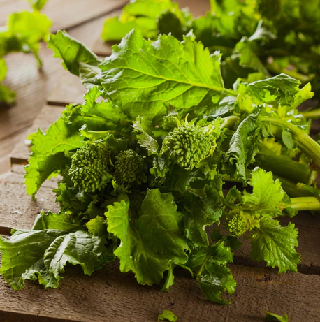 Rapini Spring Raab - Bio