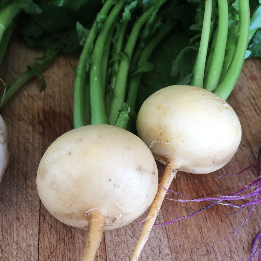 Rabiole Miyama - Organic