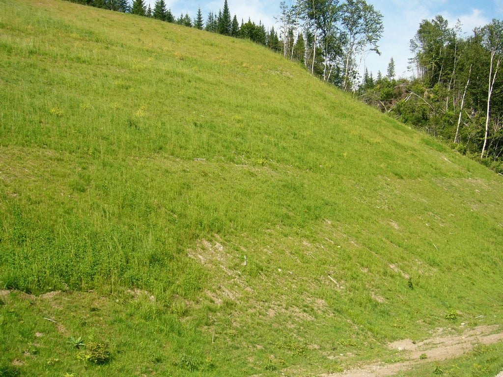 Stabilisation indigène d’Herbionik