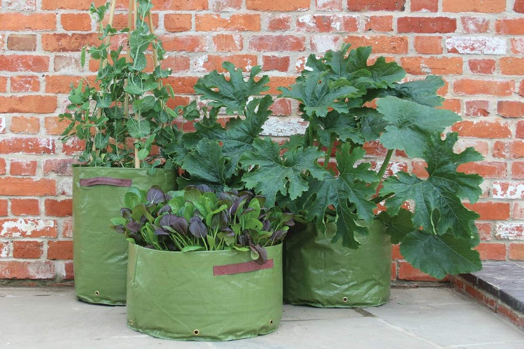 Haxnicks vegetable planting bags