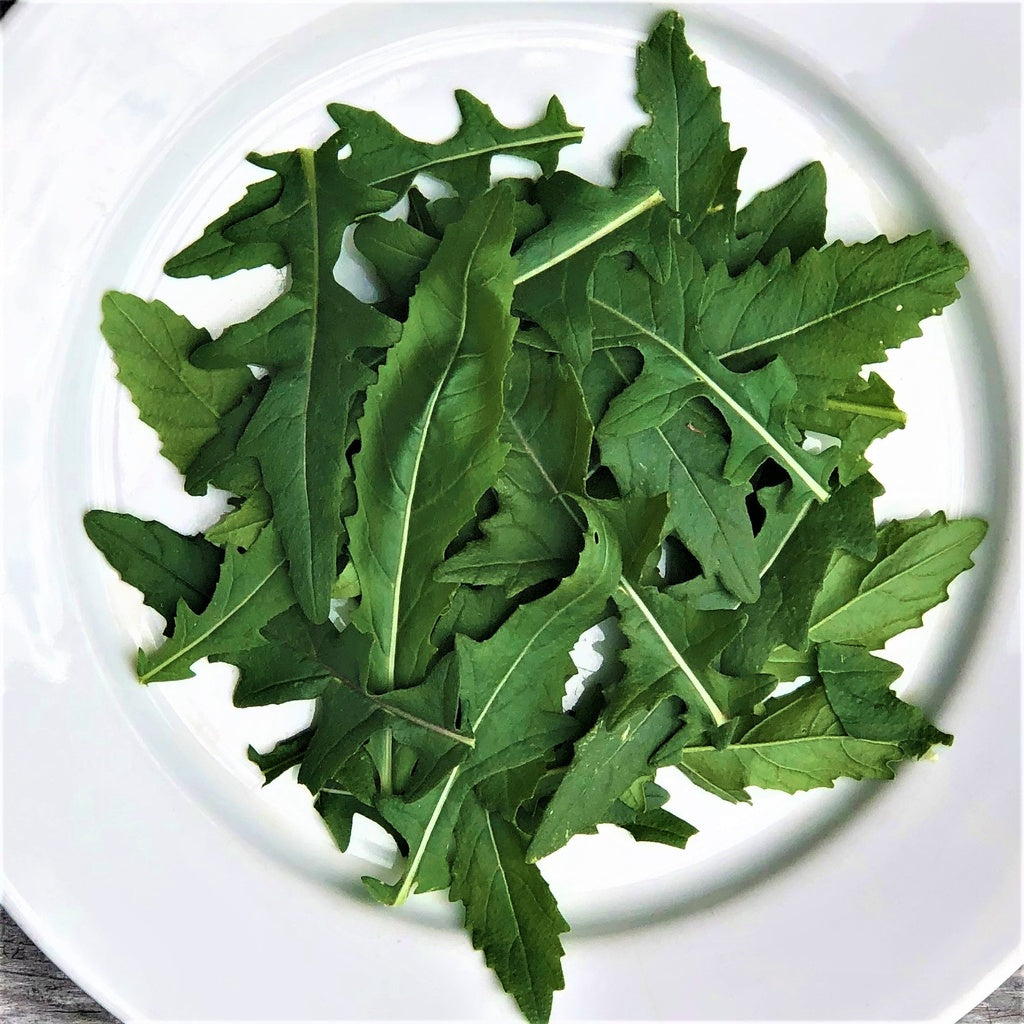 Roquette japonaise Wasabi - Bio