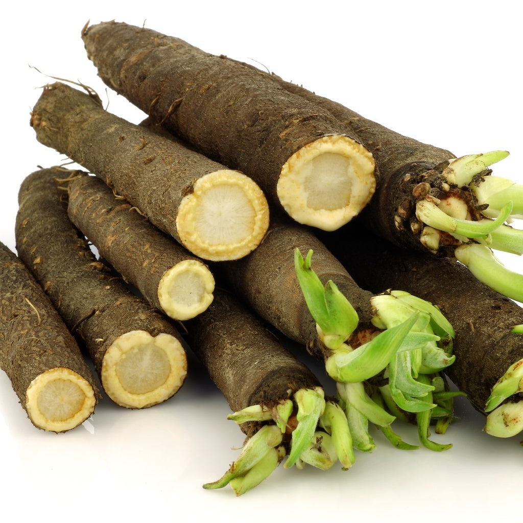 Scorsonère Hoffman's Schwarze - Bio