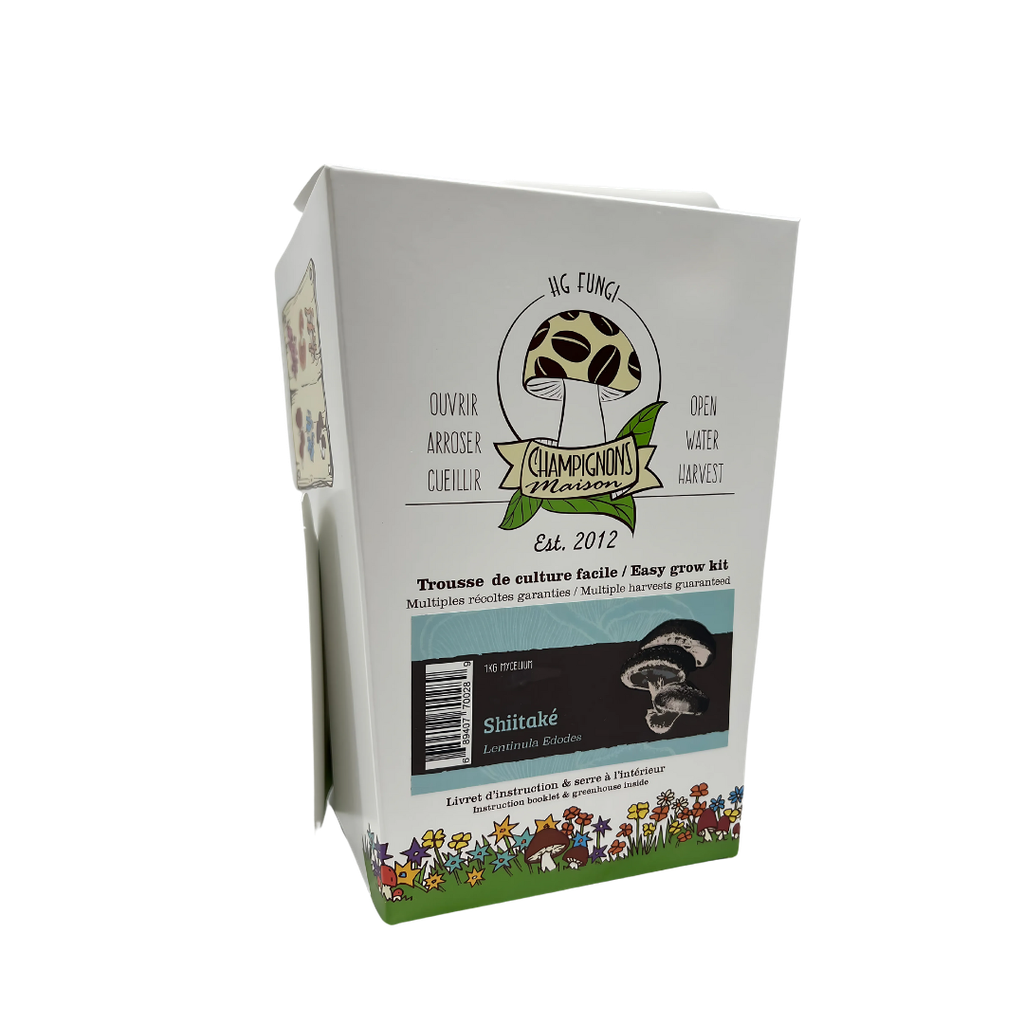 Shiitake - Growing Kit - Lentinula edodes 