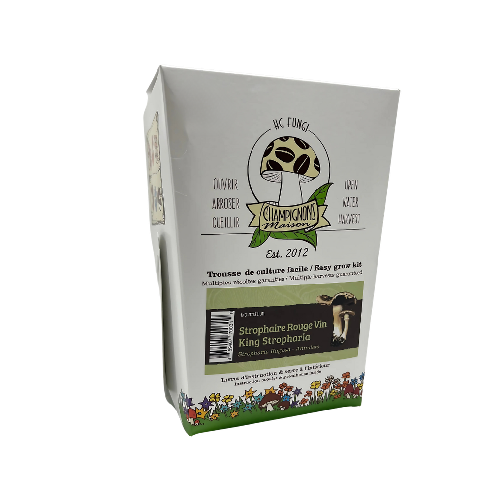 Wine-Red Stropharia - Culture Kit - Stropharia rugosoannulata