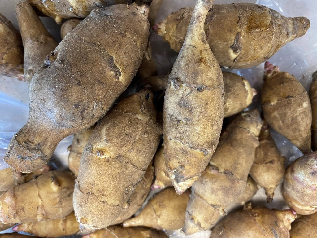 Topinambour Fuseau blanc - Bio