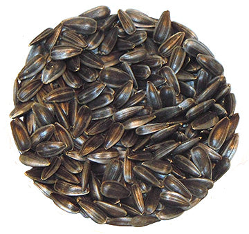 Tournesol avec écaille à germer - Bio