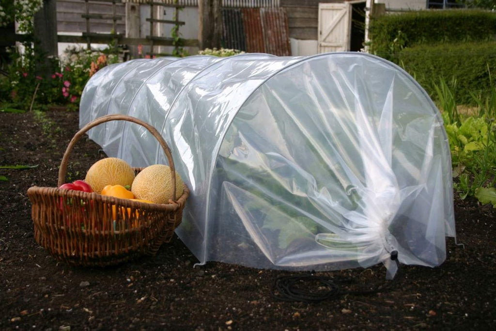 Haxnicks Easy Tunnel Polythene Tunnel