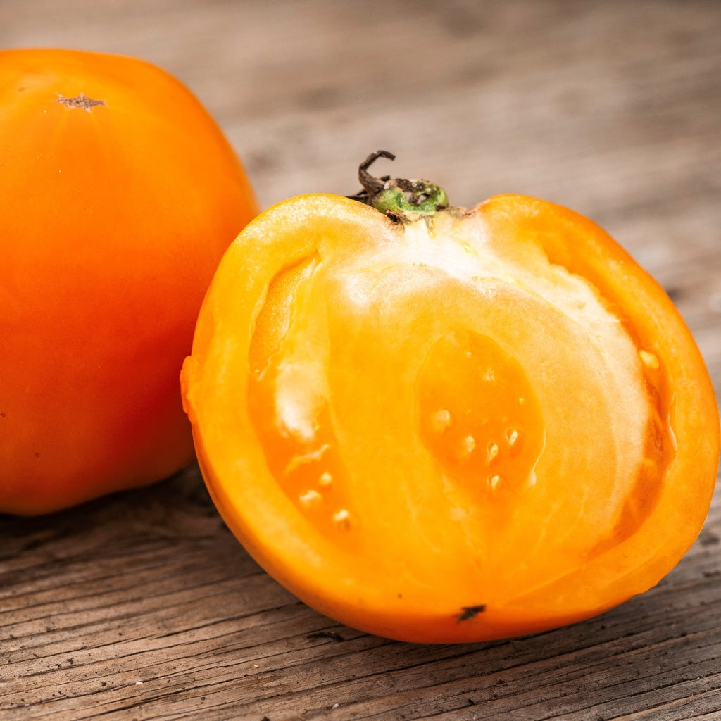 Tomate standard Orange Queen - Bio