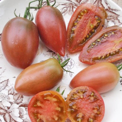 Tomate italienne Ukrainian Purple - Bio