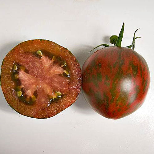 Tomate standard Black and Brown Boar - Bio