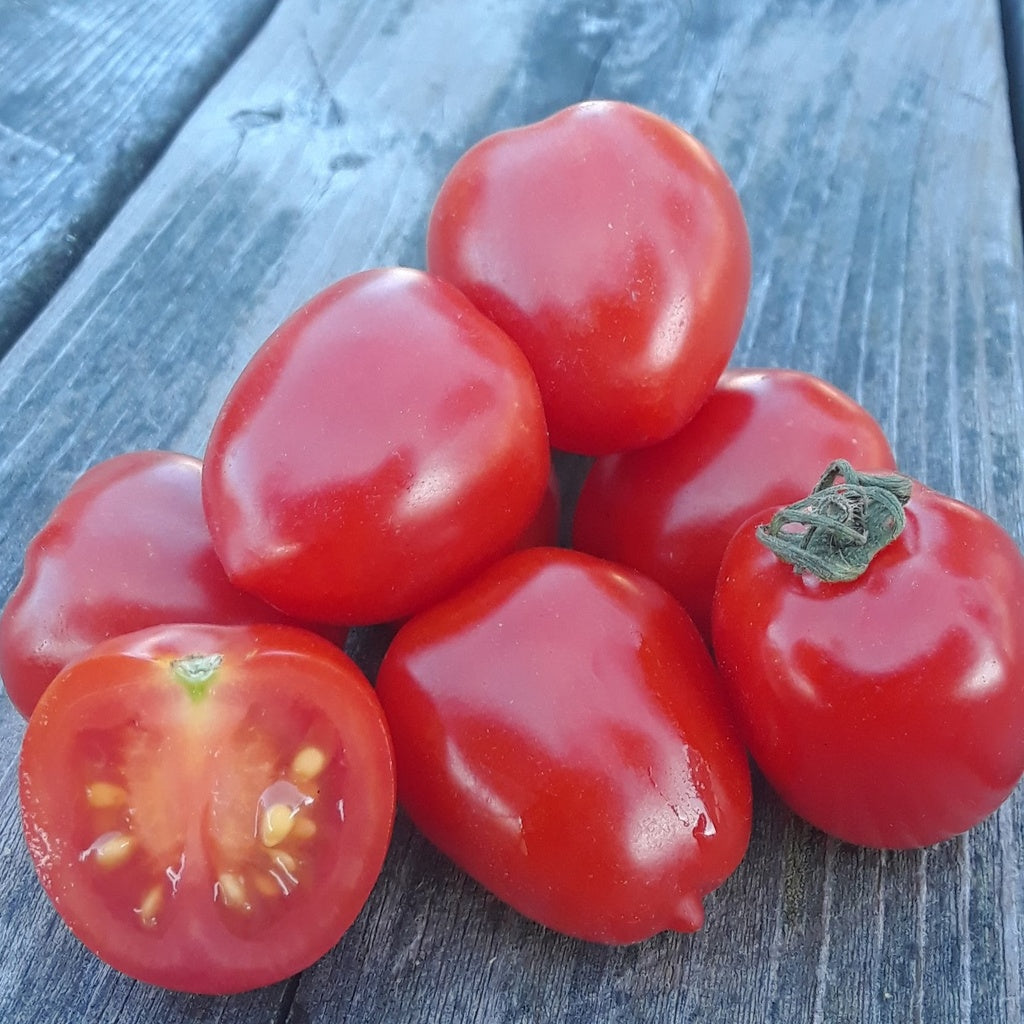 Tomate cerise Sweetheart - Bio
