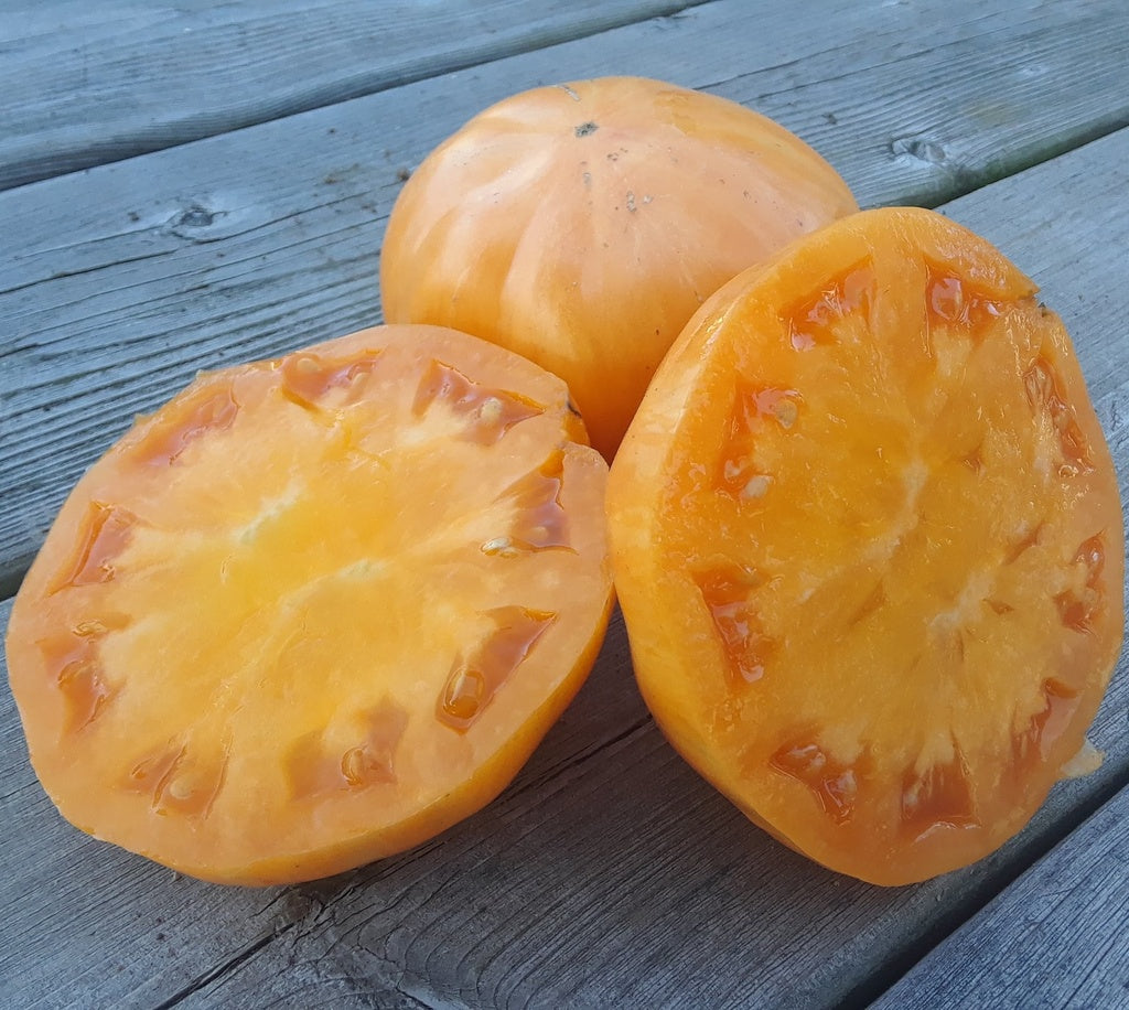 Tomate beefsteak Orange Jazz - Bio