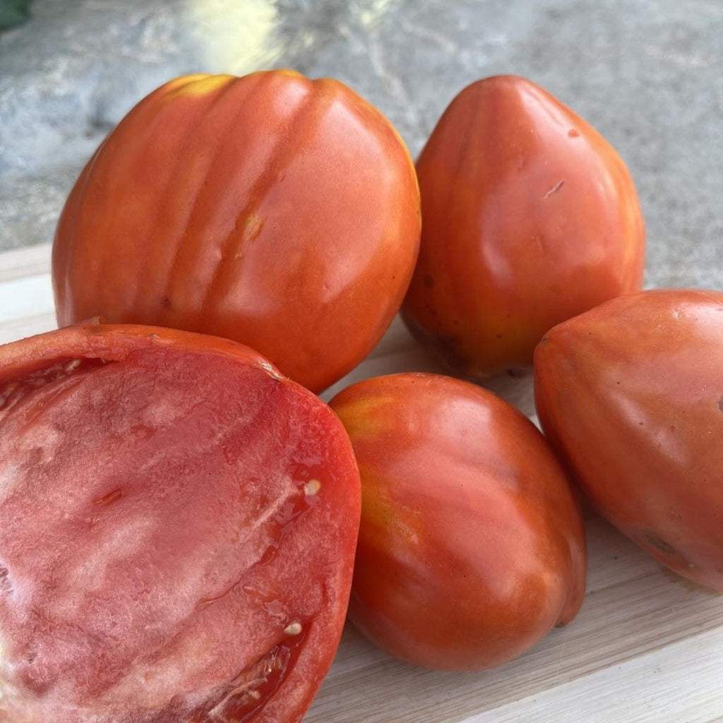 Tomate cœur de bœuf Belle Linda - Bio
